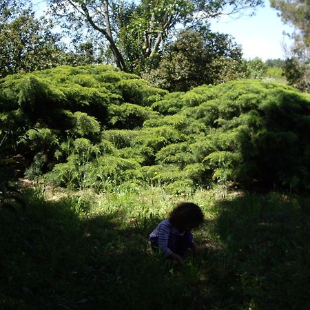 Le Mas Du Ruisseau ベルガルド 部屋 写真