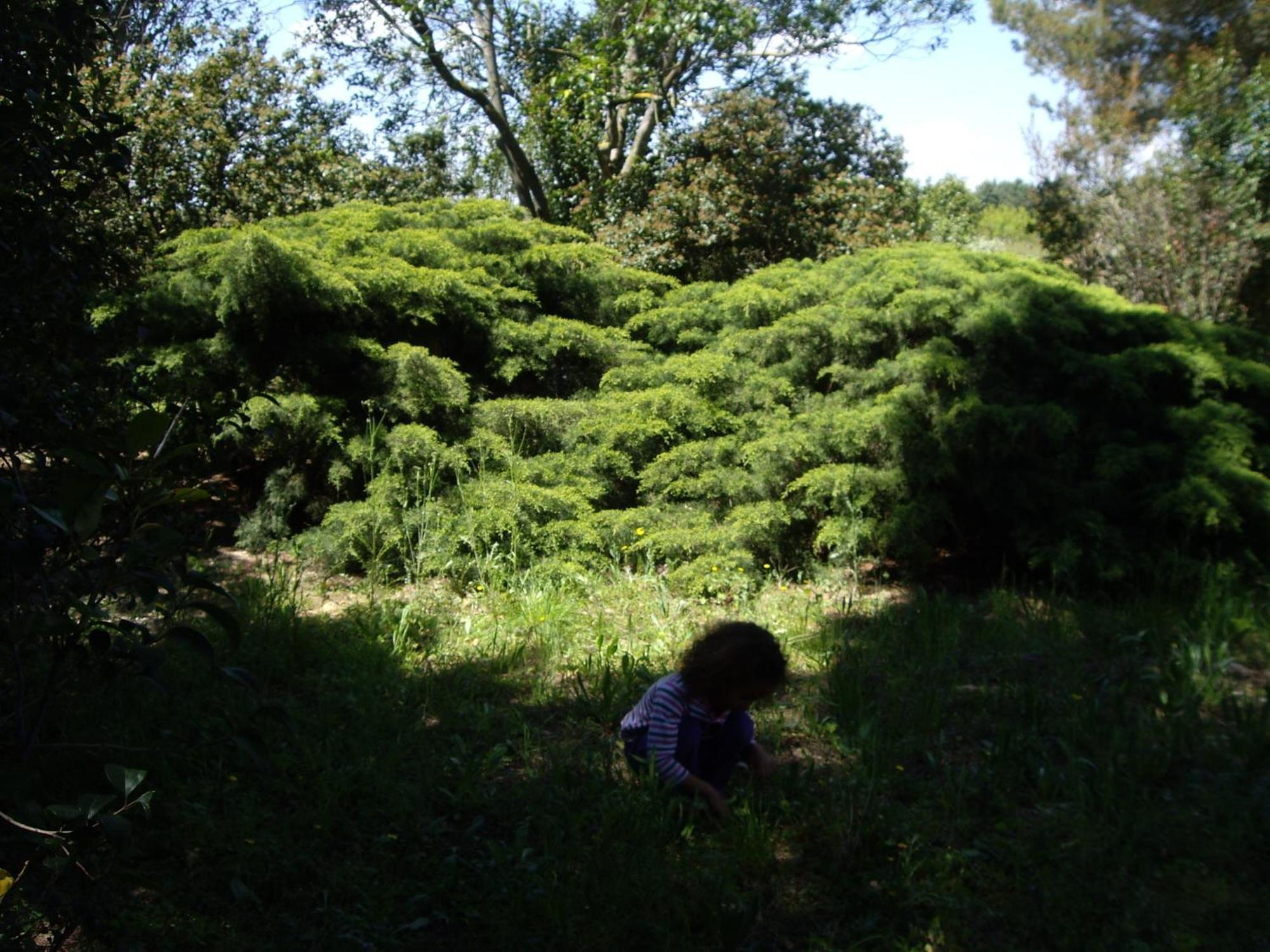 Le Mas Du Ruisseau ベルガルド 部屋 写真