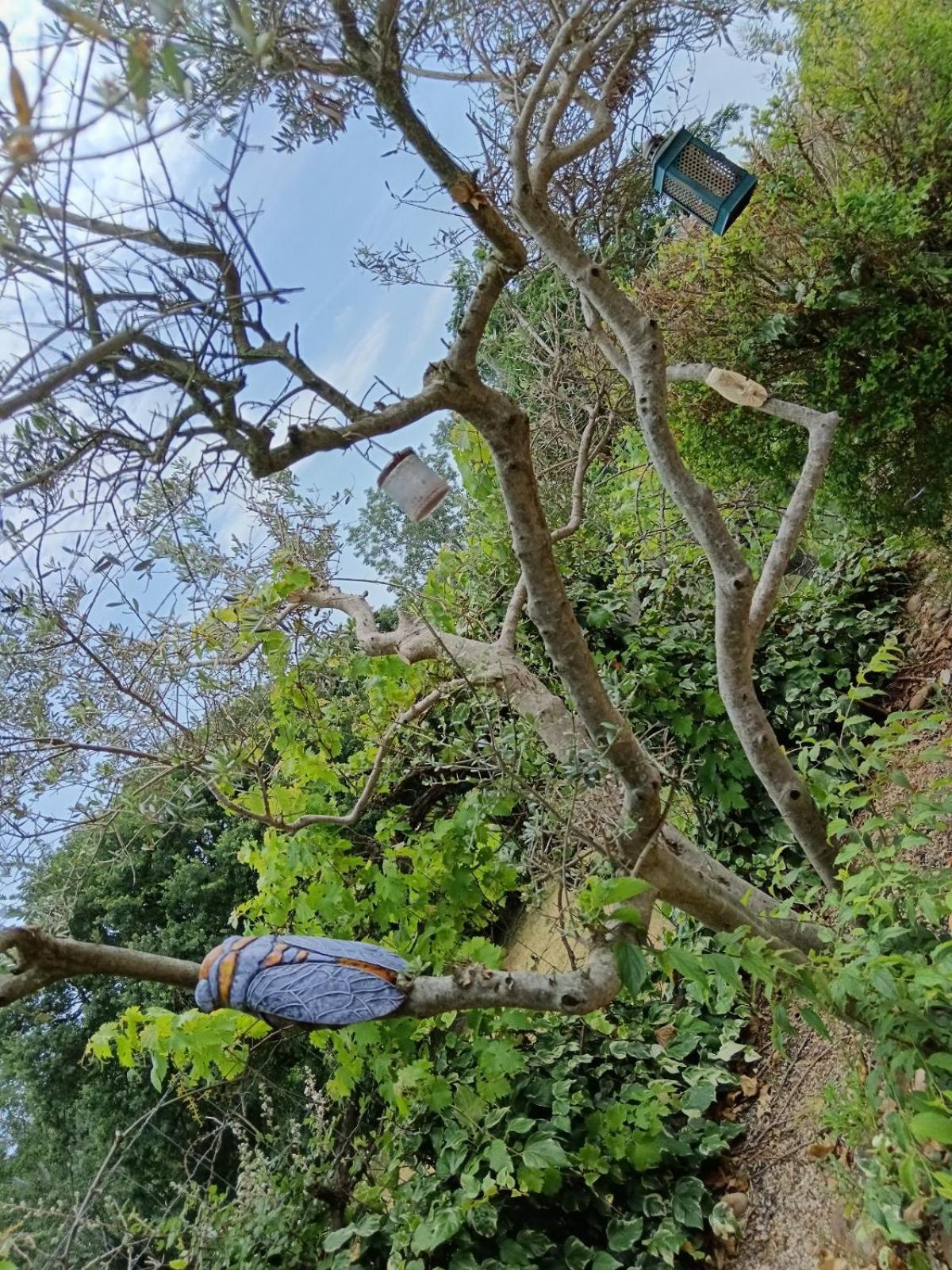 Le Mas Du Ruisseau ベルガルド エクステリア 写真
